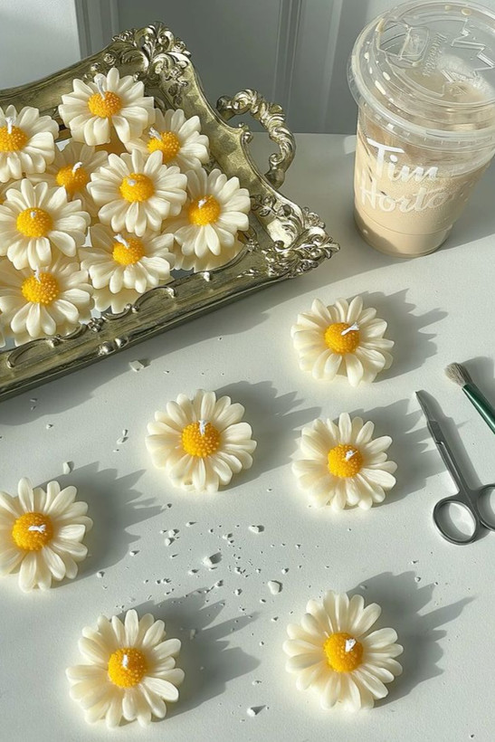 گیفت شمع بابونه